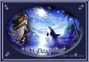 tros beaux