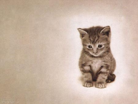 chat
