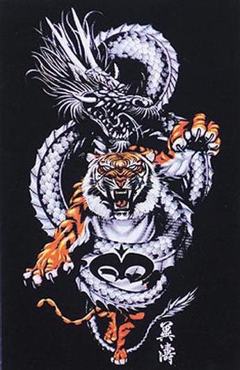 tigre dragon